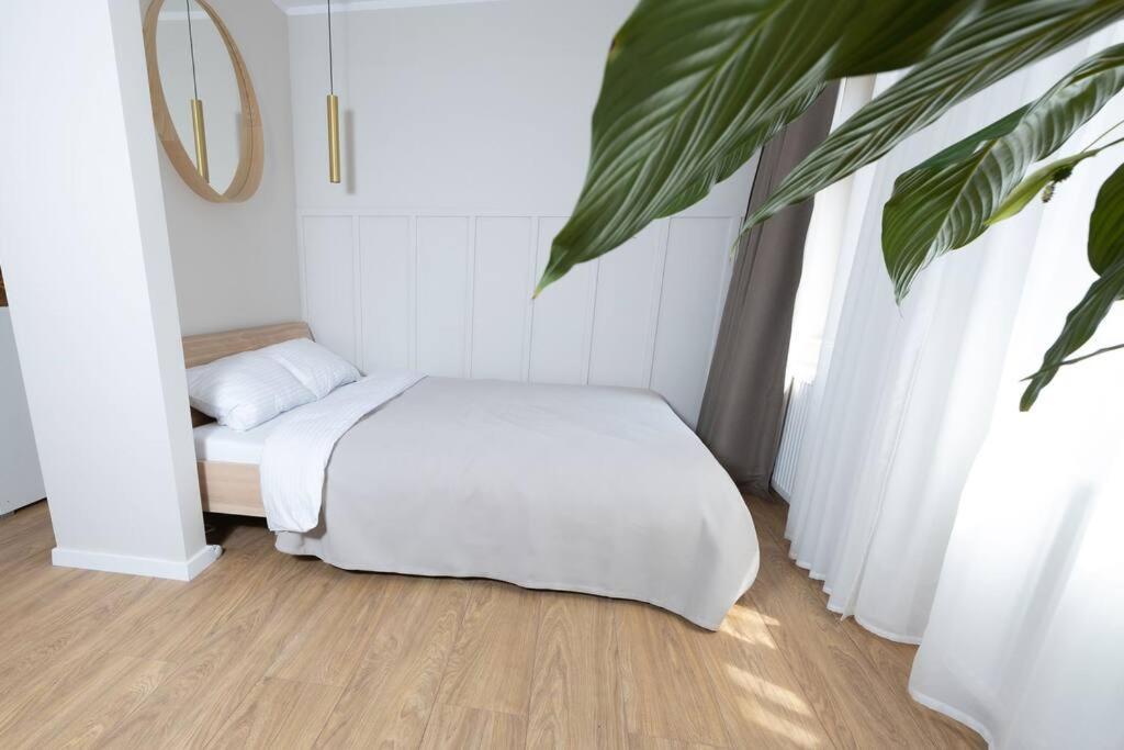 Design & Relax #Altstadt #Sauna Wittenberg Kültér fotó